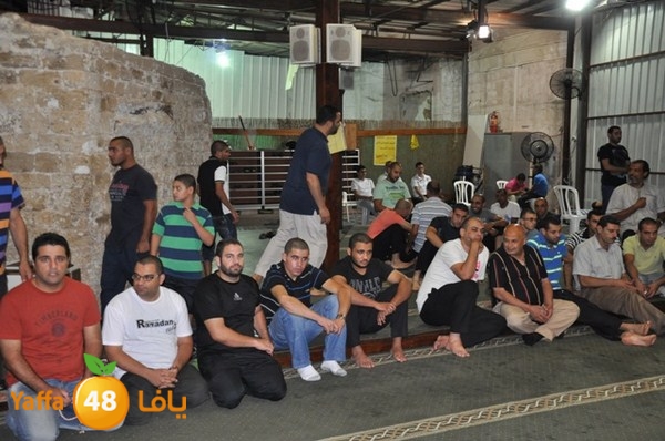 mosabakas eksek (54).JPG